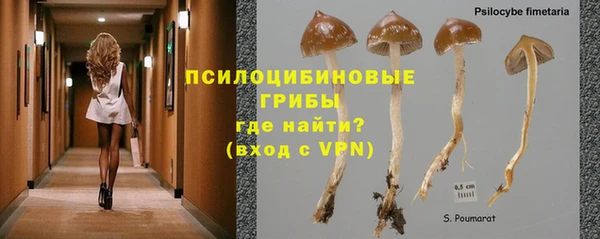 не бодяженный Каменногорск