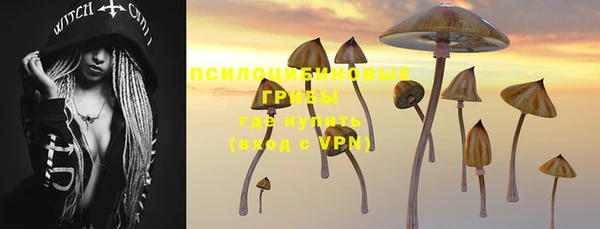 apvp Каменка