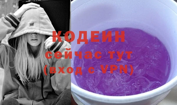 apvp Каменка