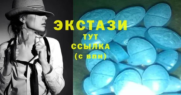 apvp Каменка